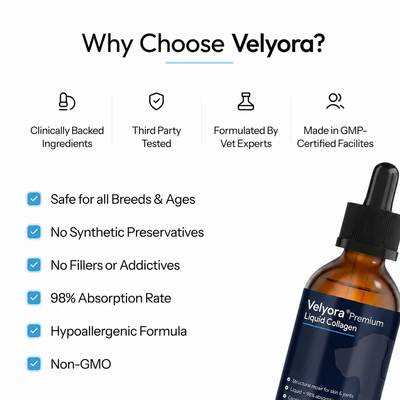 Velyora™ Premium Liquid Collagen