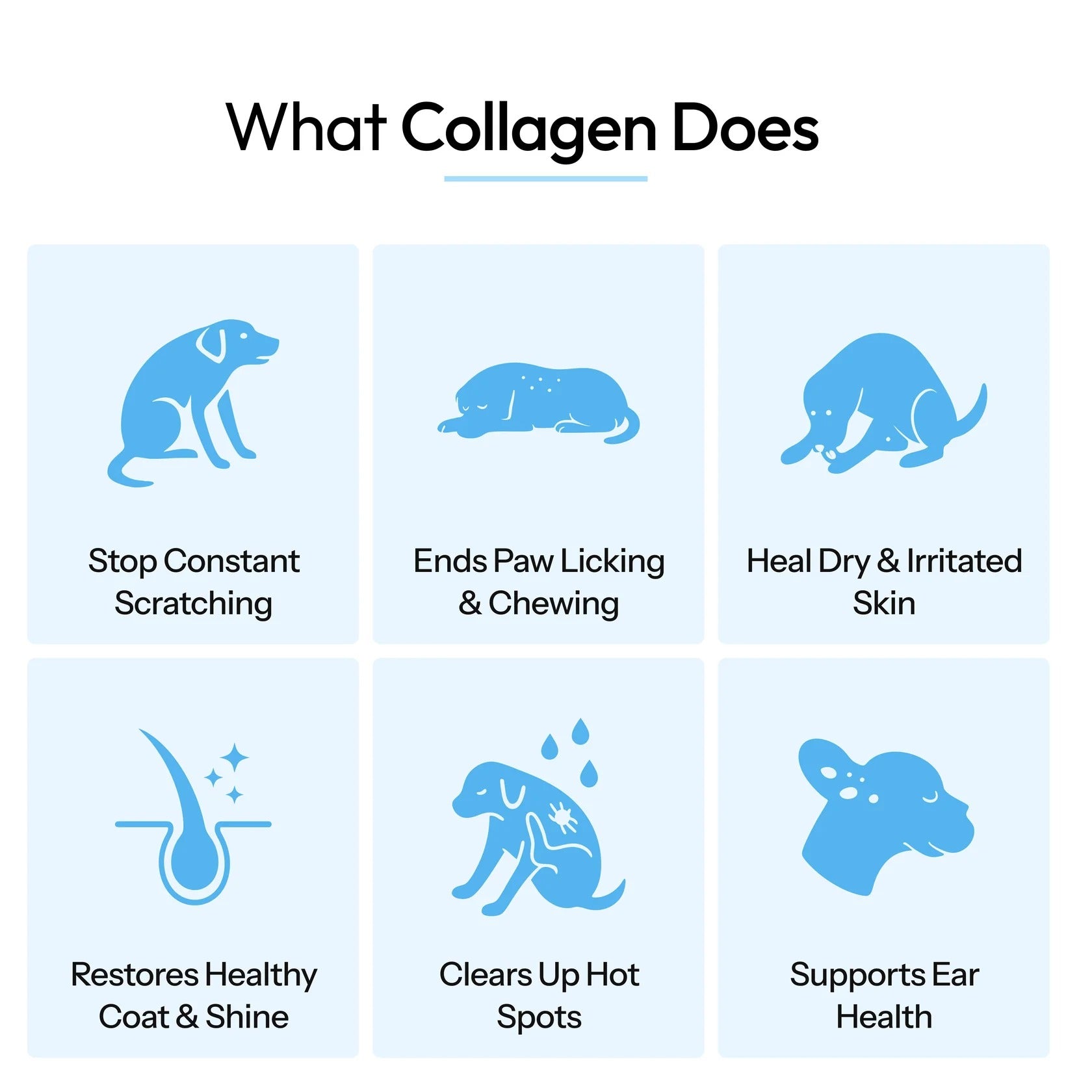 Velyora™ Premium Liquid Collagen